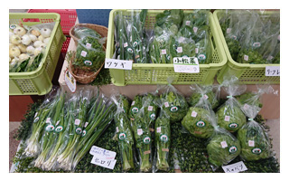 期間限定野菜販売